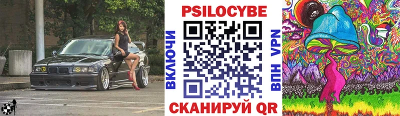 Галлюциногенные грибы Psilocybe  Купить  Среднеуральск 